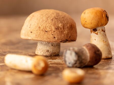 Mushrooms collected in the forest on the table.