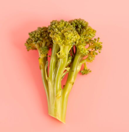 Broccoli cabbage on a pink background.の写真素材