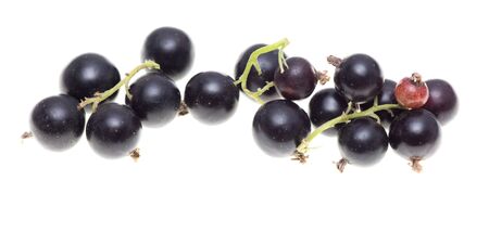 Ripe blackcurrant berries on a white background.の写真素材