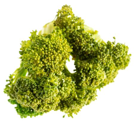 Broccoli cabbage on a white background.の写真素材