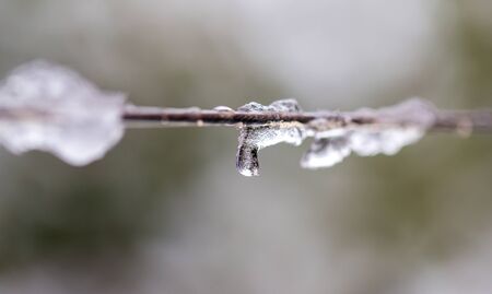 Snow on a clothesline as background.の写真素材