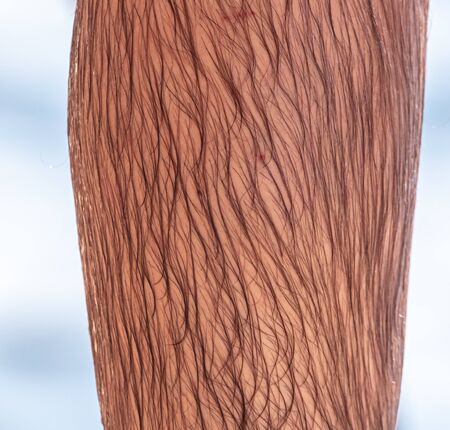 The hairy legs of a man.