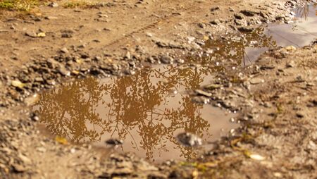 Puddle on a dirt road with autumn reflection.の写真素材