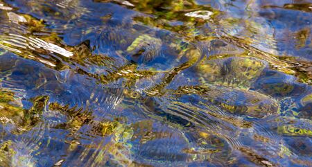 The surface of clear water in a pond as an abstract background.の写真素材