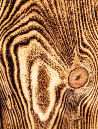 The structure of the tree on a charred board. Abstract backgroundの写真素材