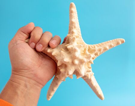 Sea shell in hand isolated on a blue background.の写真素材