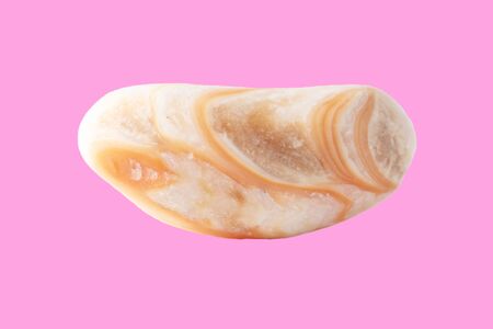 Sea stone from shell isolated on pink background.の写真素材
