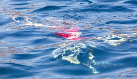 A girl swims in the blue water of the sea.の写真素材