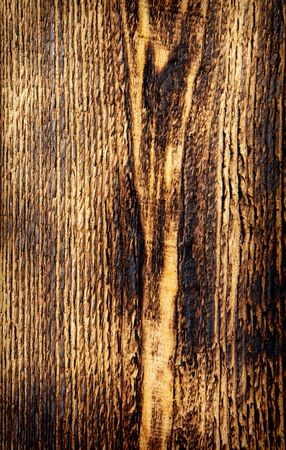The structure of the tree on a charred board. Abstract backgroundの写真素材