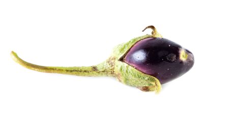 Eggplant isolated on a white background.の写真素材