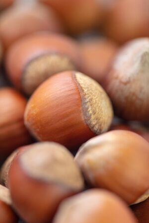 Hazelnuts as a background. Macro photoの写真素材