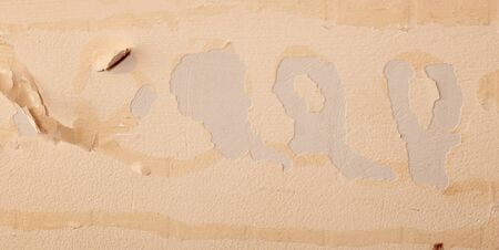 Wall in the house before repair as a backdrop.