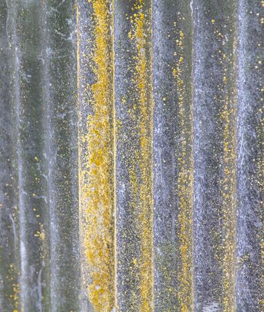Moss on slate as an abstract background.の写真素材