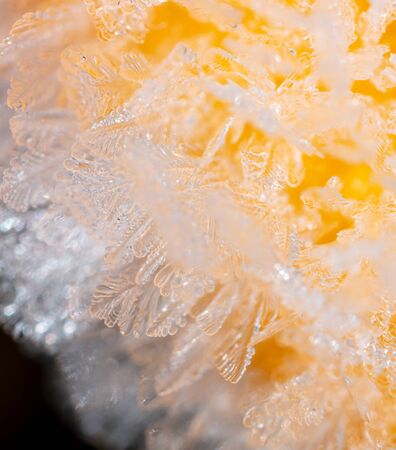White snowflakes on an orange orange as a background. Macroの写真素材