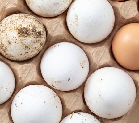 Fresh chicken eggs in industrial mud as a background.