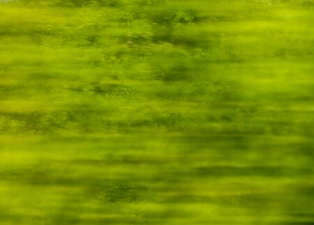 Green nature in summer in motion. View from the window in the train. Abstract backgroundの写真素材