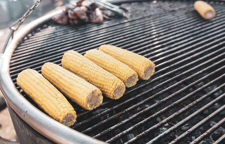 Grilling yellow corn on the coals.の写真素材