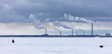 People catch fish on ice in the background of the plant.
