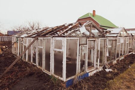 Old greenhouse in the country.の写真素材