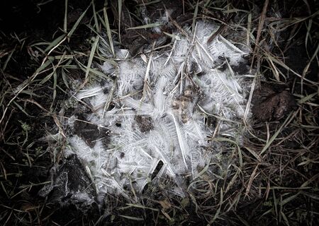 Ice in a frozen puddle as a background.の写真素材
