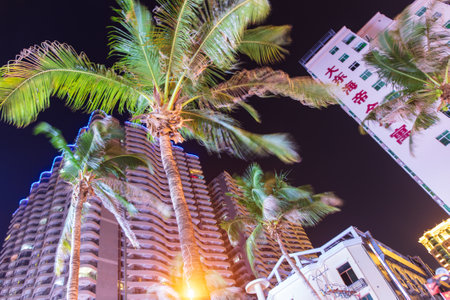 Sanya, Hainan Island, China - January 10, 2020: Palm trees on a city street at night.のeditorial素材