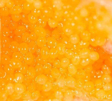 Red caviar in a shrimp as a background. Macroの写真素材
