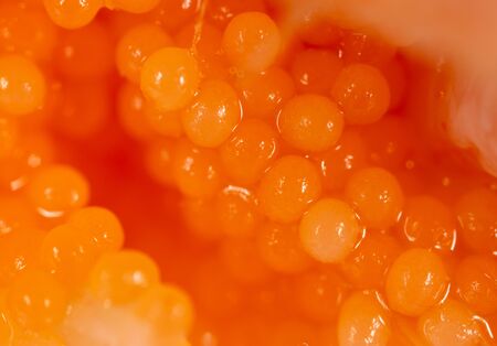 Red caviar in a shrimp as a background. Macroの写真素材