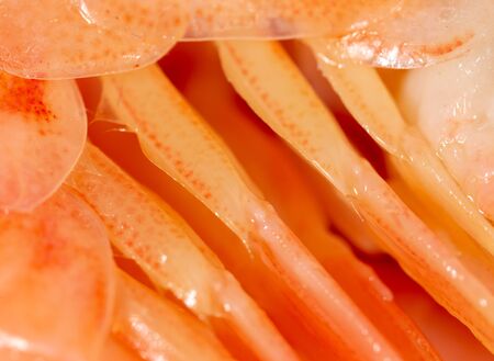 Red shell of shrimp as a background. Macroの写真素材