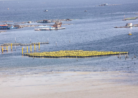 Sanya, Hainan Island, China - January 14, 2020: Pearl production in the South China Sea.のeditorial素材