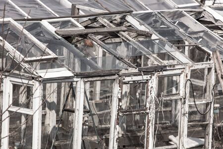 Staircase in an old greenhouse at the cottage.