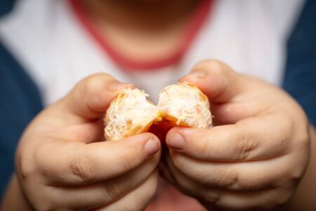 A slice of tangerine in the hands of a boy.の写真素材