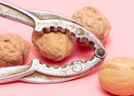 Walnuts and nut cracker on a pink background.の写真素材