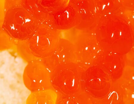 Red caviar from salmon fish. Macro.の写真素材