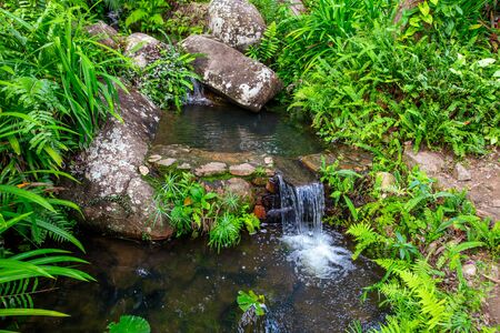Water flows down the rocks. Waterfall in a tropical park.