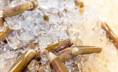 Seashells are like sticks. Delicacy in Chinese cuisine.