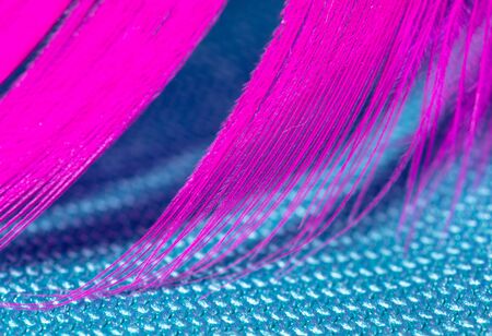 Pink feather on a blue background. Macro