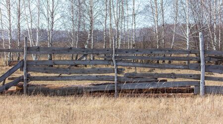 Old wooden fence on the nature in early spring.の写真素材