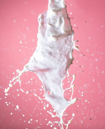 Splashes of milk isolated on pink background.の写真素材