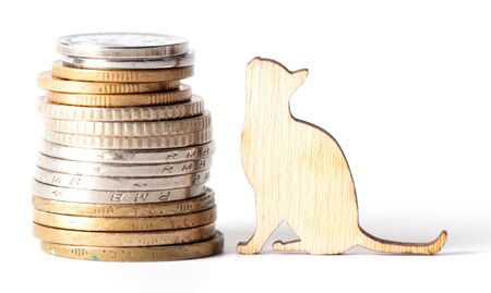 Coins and house on a white background. Business analyticsの写真素材