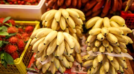 Bananas on the counter in the market. Exotic fruit in the tropics.の写真素材