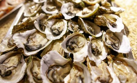 Oysters in shells as a background. Exotic food.