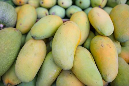 Mango on the counter in the market. Exotic fruit in the tropics.の写真素材