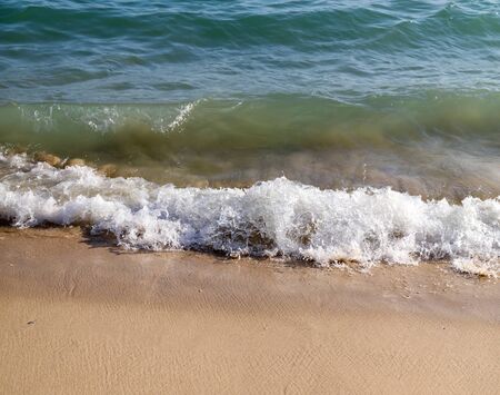 Sandy coast near the sea as a background.