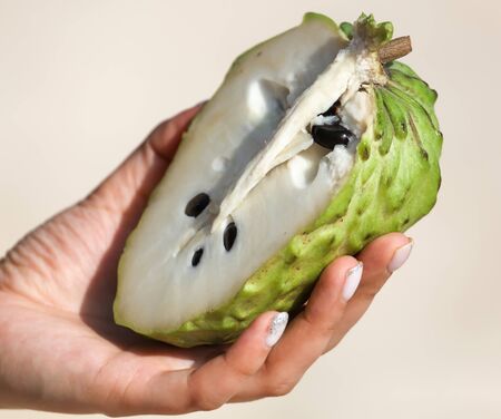 Sliced sugar apple in the hand. Exotic fruitの写真素材