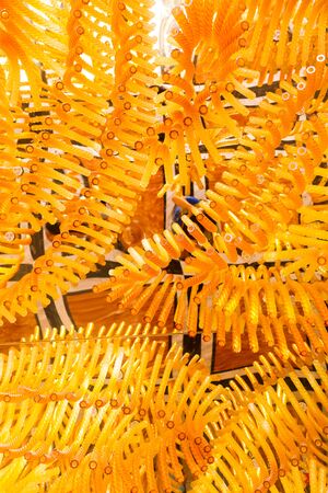 Gold ornaments on the ceiling as an abstract background.