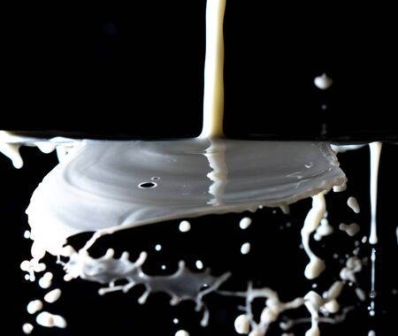 Splashes of white milk isolated on a black background. Drinkの写真素材
