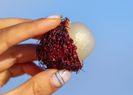 Rambutan fruit in hand on a background of blue sky.の写真素材