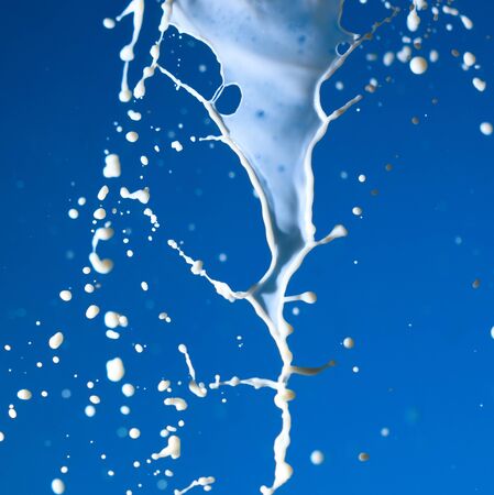 Splashes of white milk isolated on a blue background. Drink