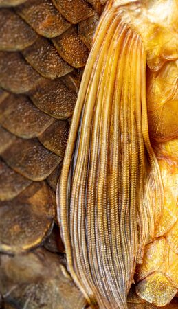 Smoked fish fin as background. Macroの写真素材