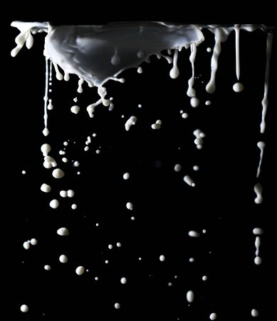 Splashes of white milk isolated on a black background. Drinkの写真素材